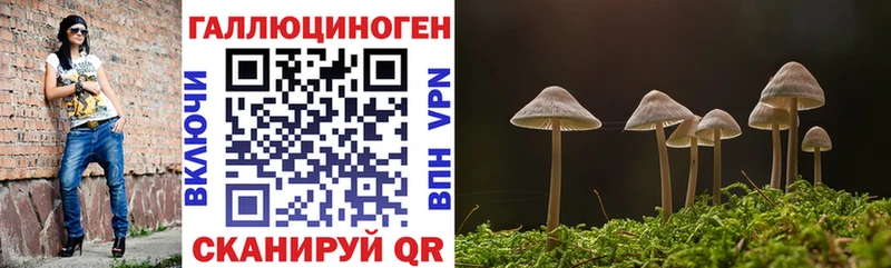Галлюциногенные грибы ЛСД  Щёлково 