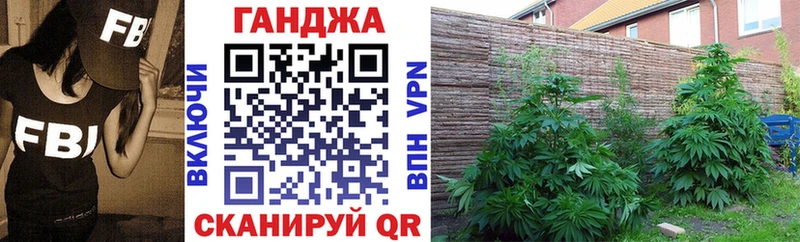 Шишки марихуана Bruce Banner  как найти закладки  Щёлково 